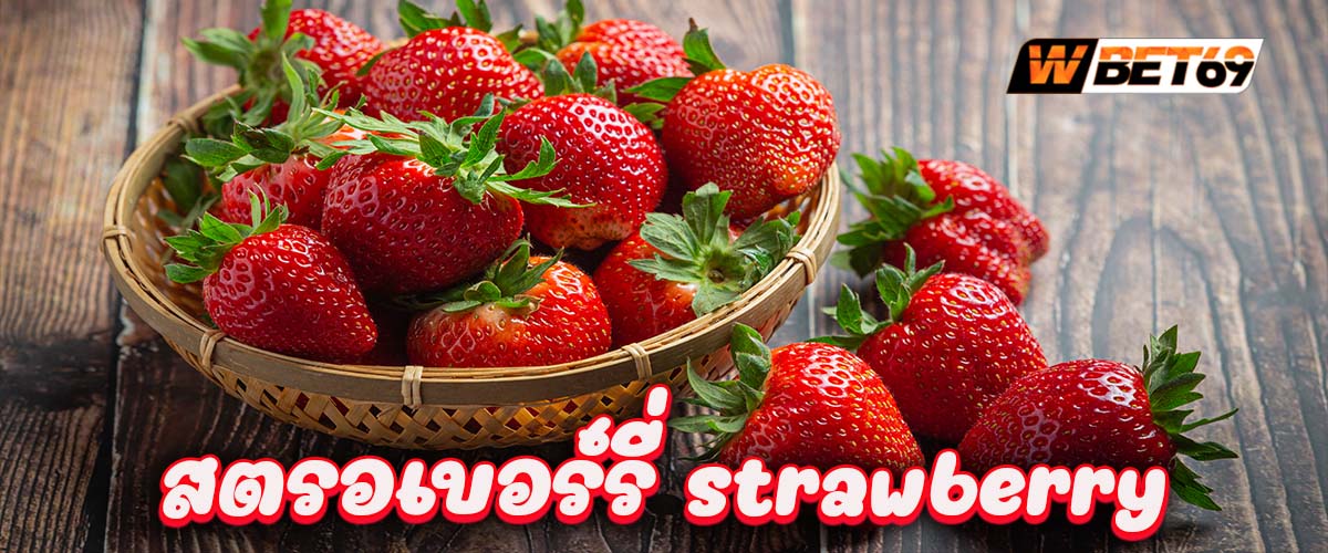 สตรอเบอร์รี่ strawberry คุณประโยชน์ ครบสูตร เพื่อสุขภาพ